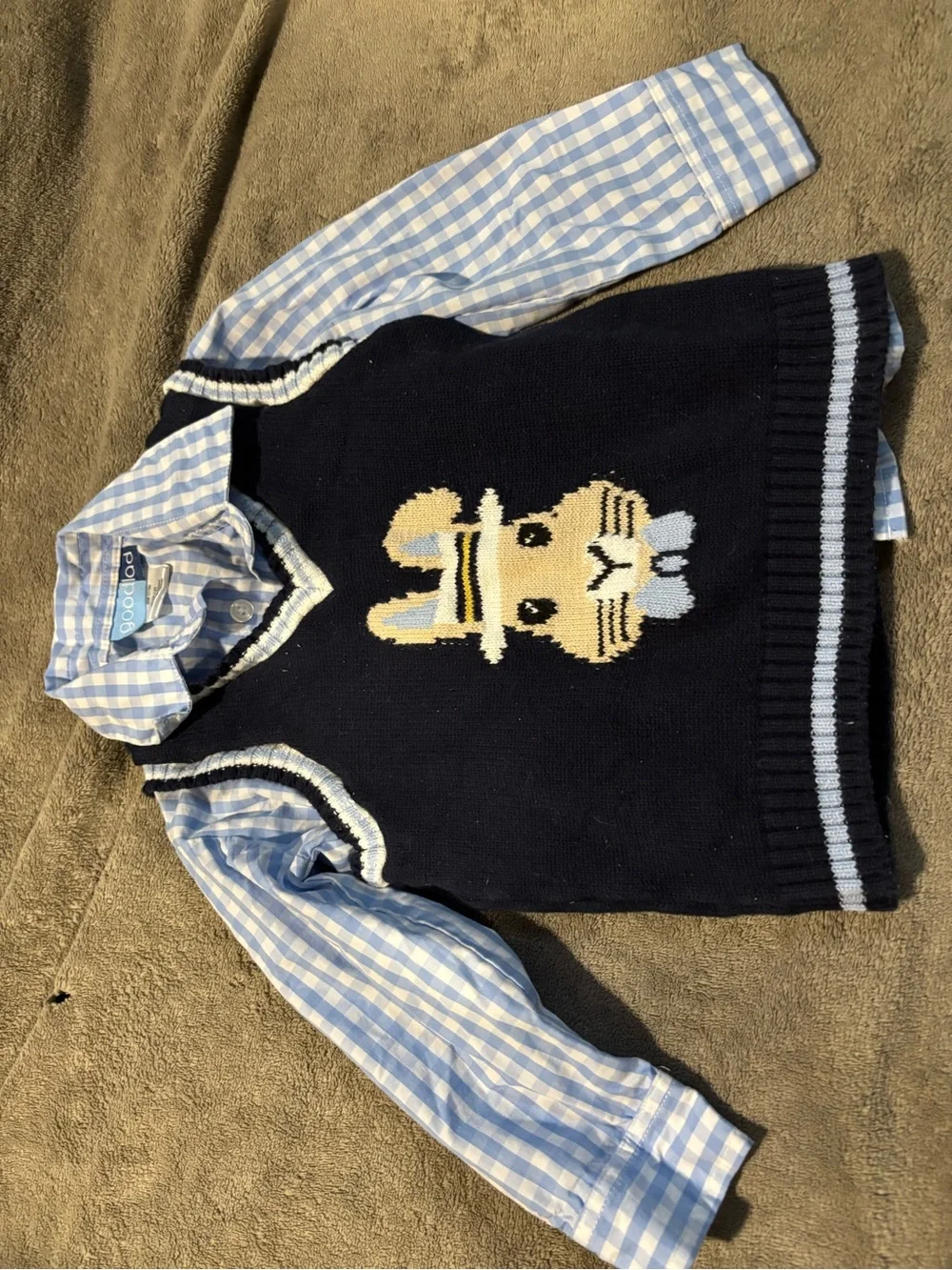 Gymboree Navy Sweater Vest with Light Blue Gingham Shirt and Bunny